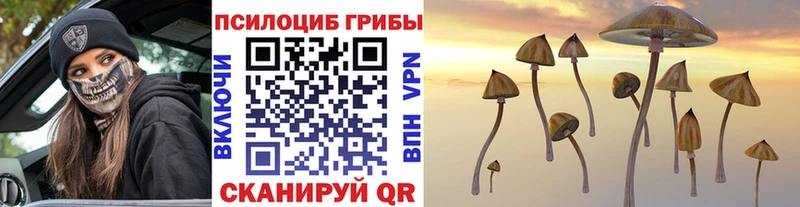 Псилоцибиновые грибы прущие грибы  купить наркотики сайты  Тверь 